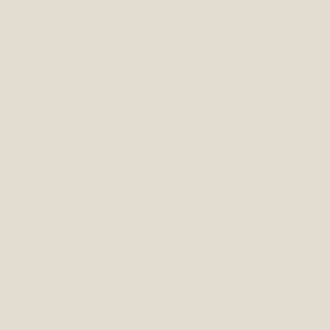 Beige Page NP N 3220 P
