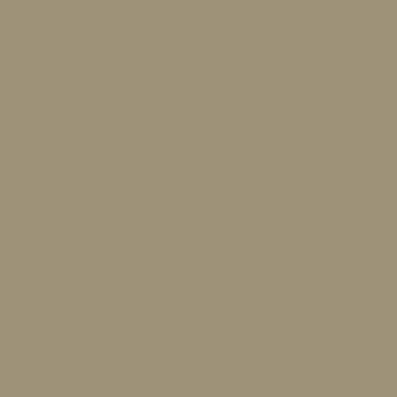 Natural Essence NP N 1826 T